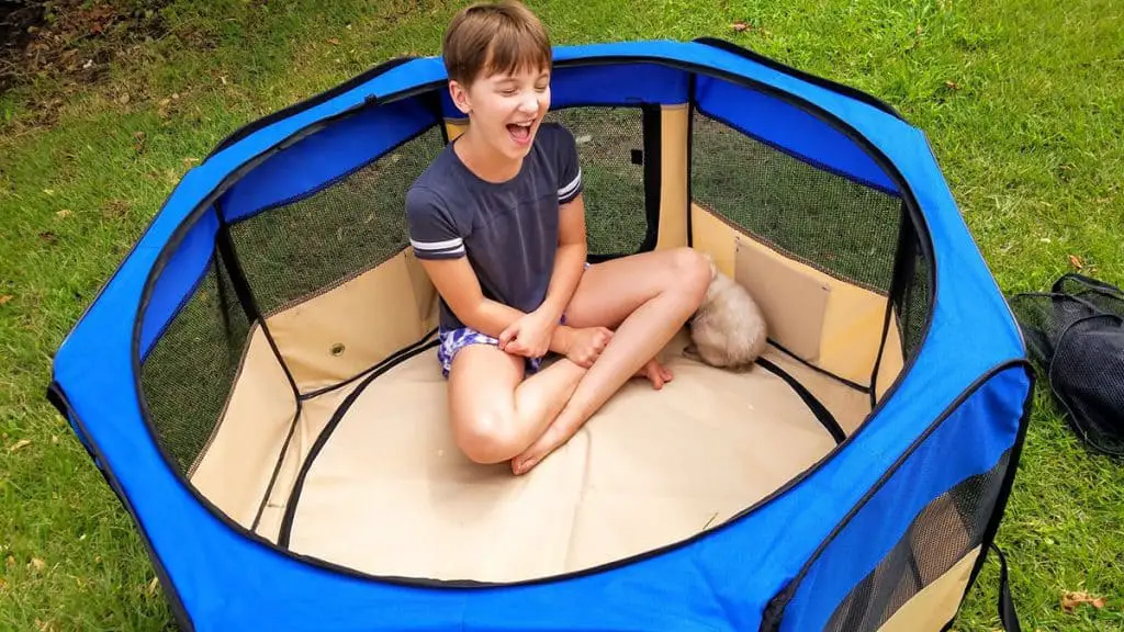 Best Rabbit Playpen for 2019