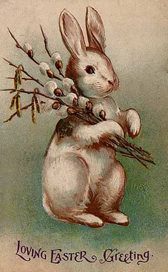 1907 Easter bunny Post Card
