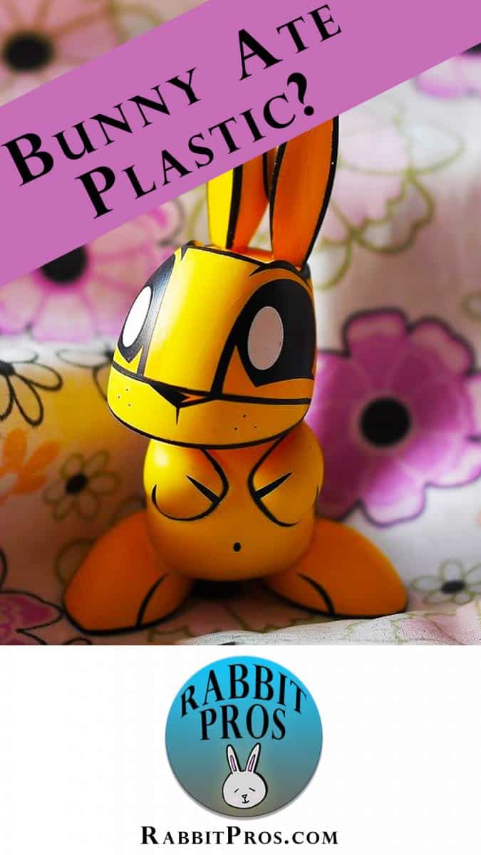 What Happens When Your Rabbit Eats Plastic!