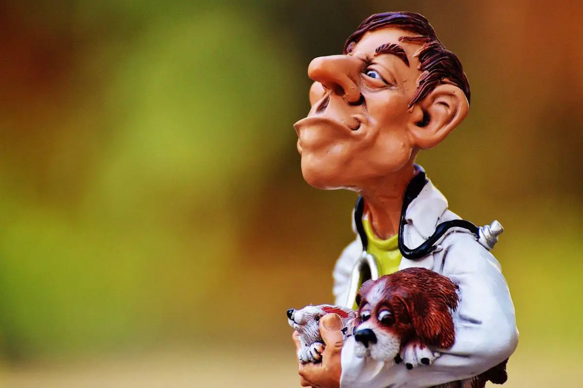 Cost To Get A Rabbit Spayed Or Neutered Survey Data