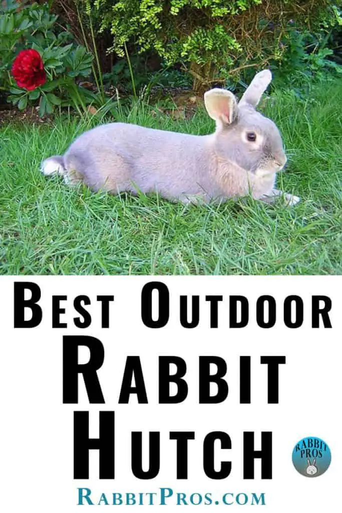 Image of bunny on grass with text "Best Outdoor Rabbit Hutch