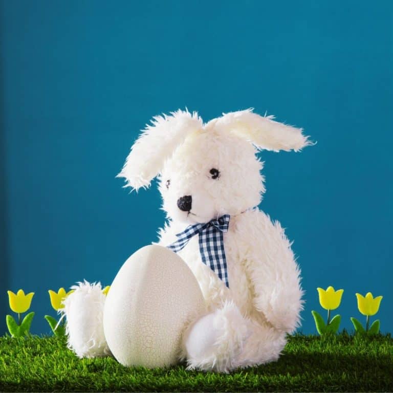 20 Signs A Pet Rabbit Is Bored + 20 Tips to Cure It.