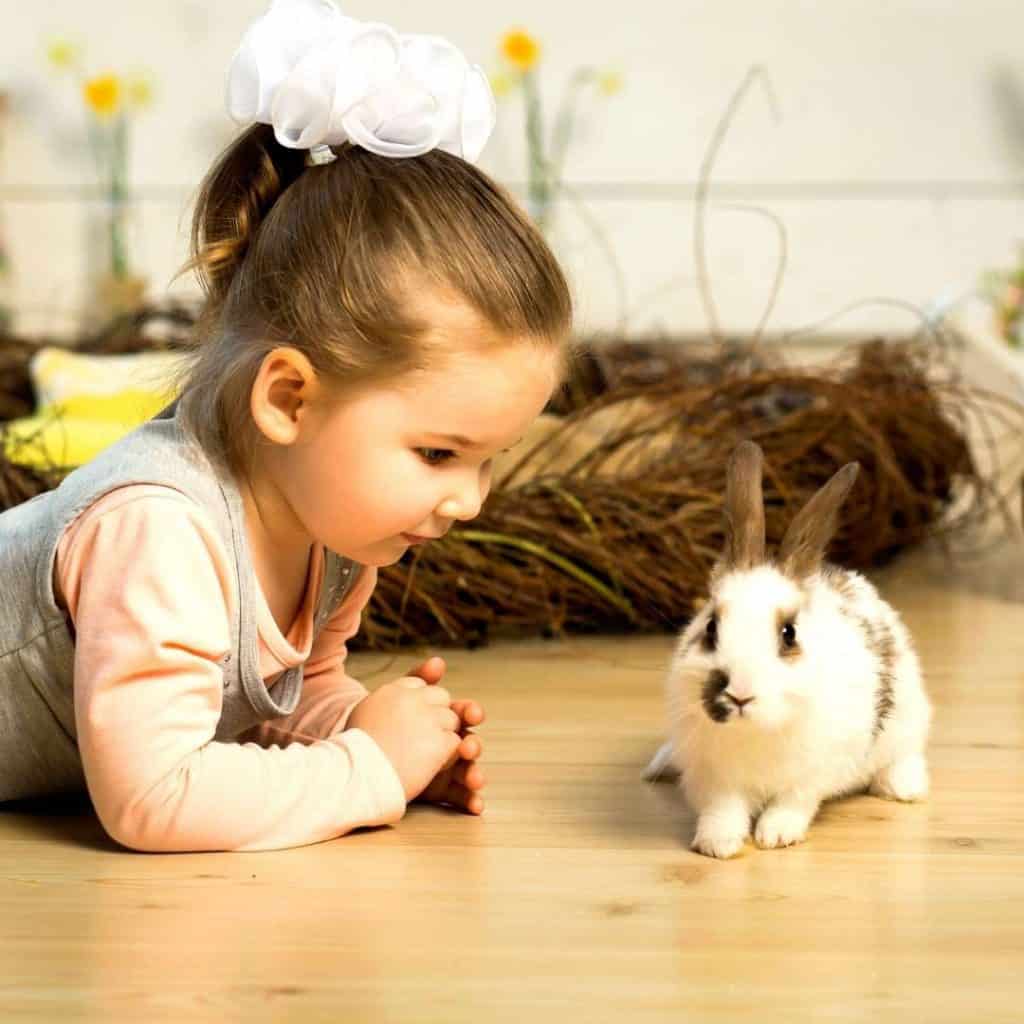 Pet Rabbits And Kids - The Pros & Cons.