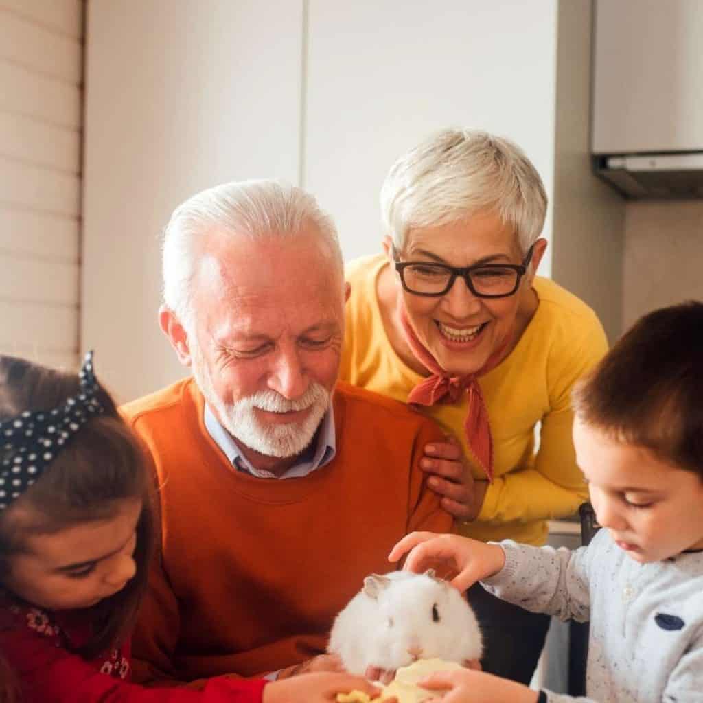 Image of family and kids with pet rabbit