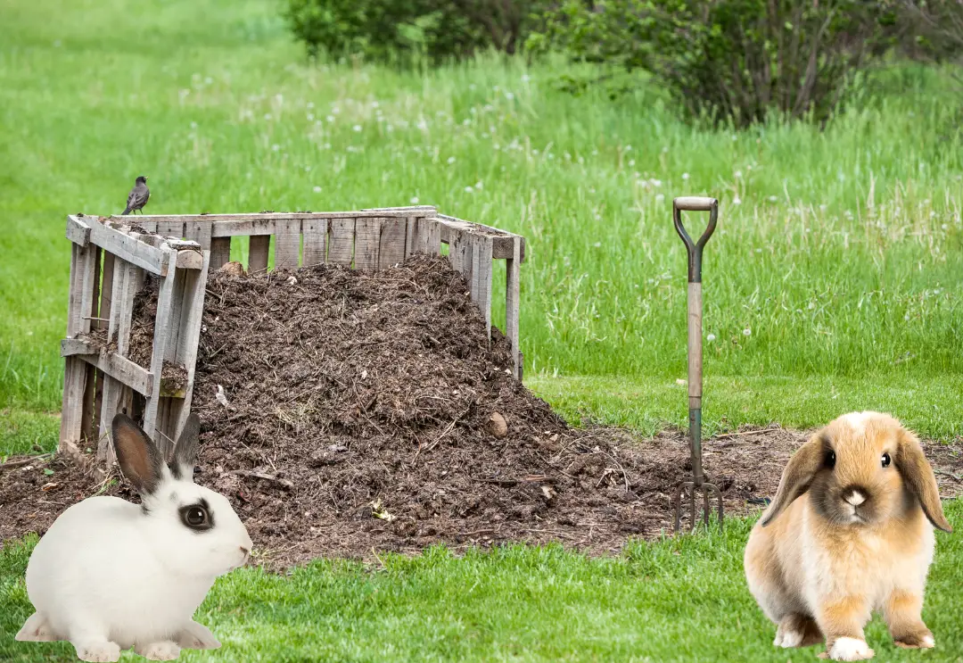 How To Compost Rabbit Manure - A step-by-step guide.