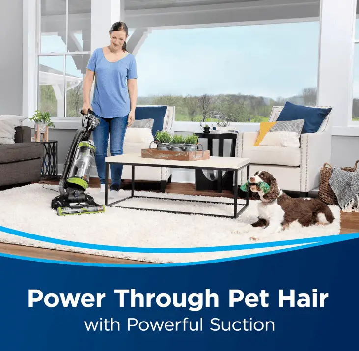 Best Vacuum For Rabbit Hair